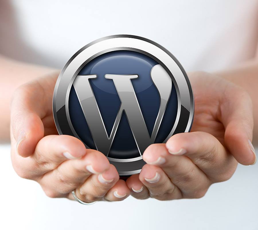 site web professionnel wordpress